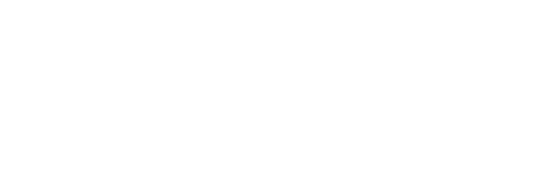 dinson iron and steel