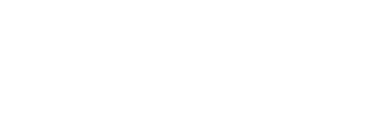 staywyze